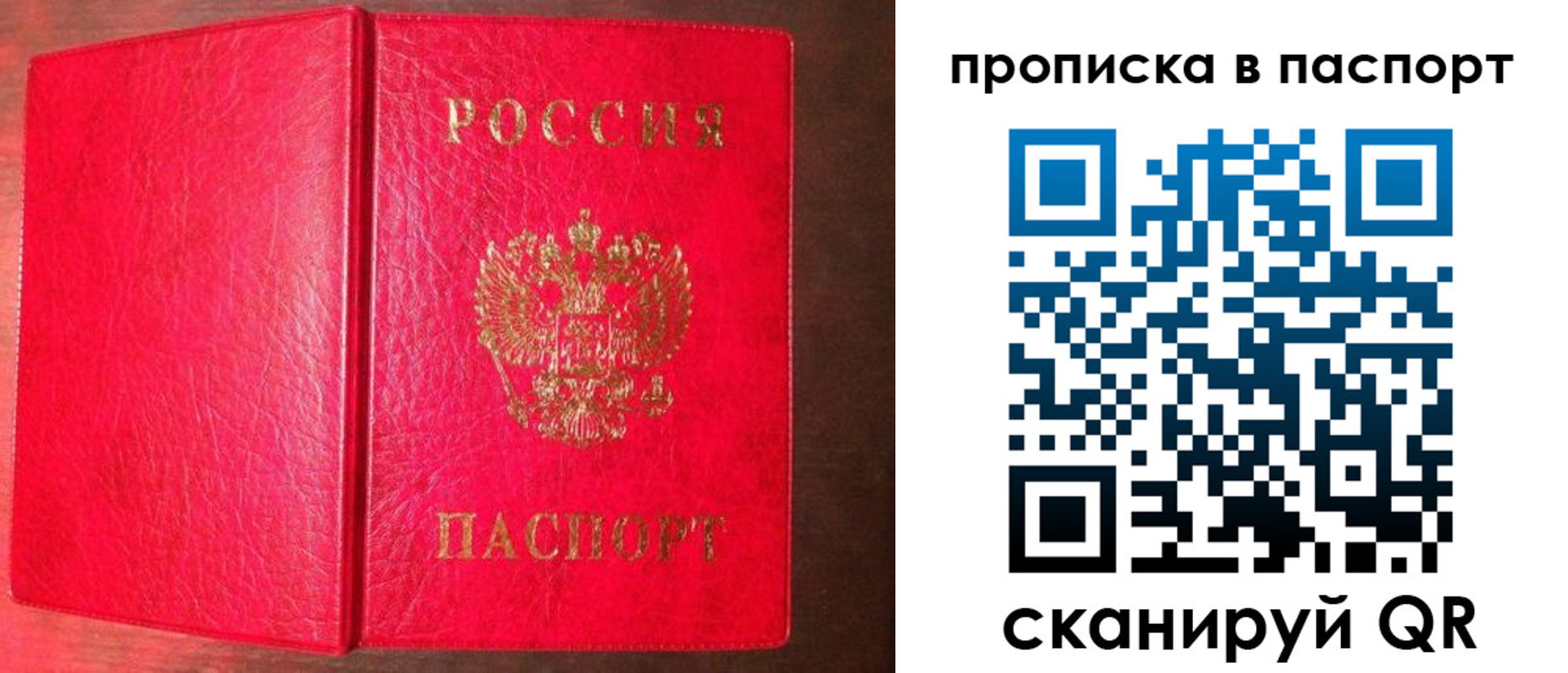 прописка гарантия в Ермолино